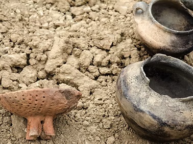 Volunteer Excavations